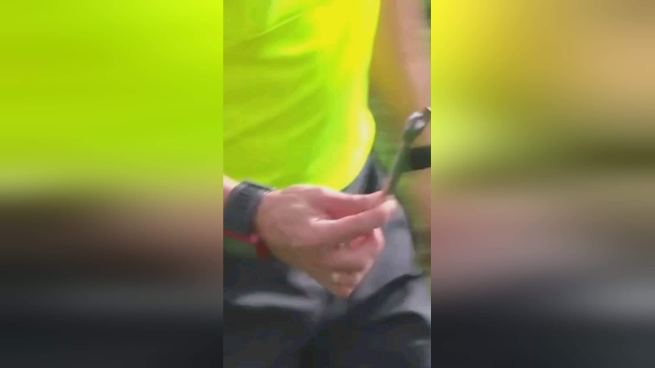 篮领域
