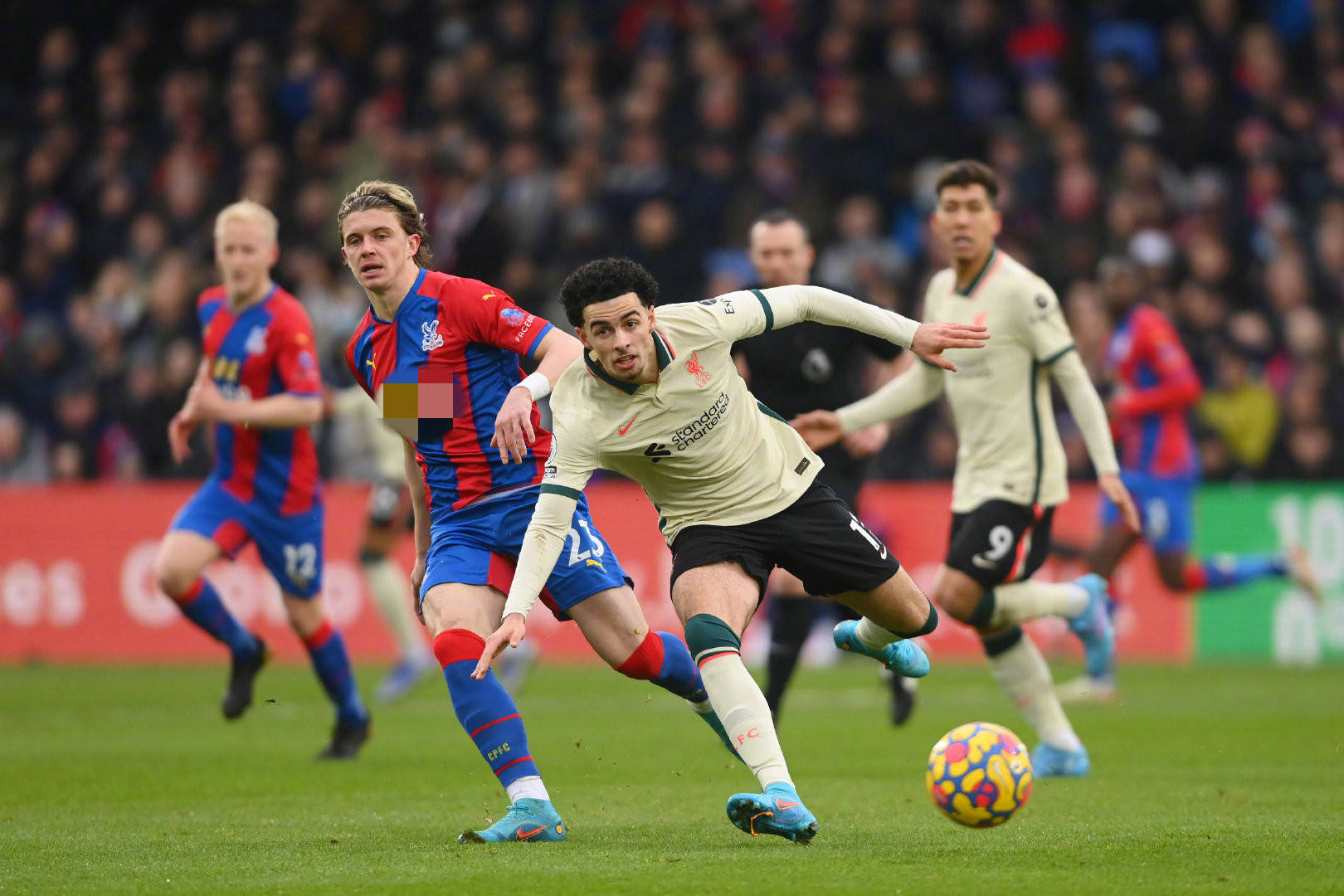 更需要速度 更需要速度