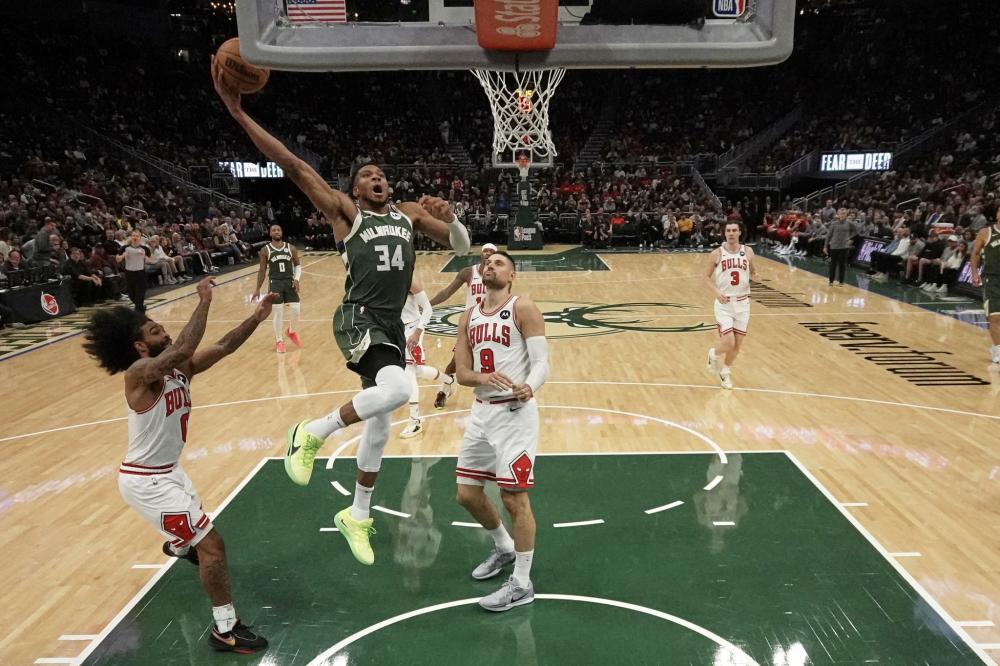 创作与分享 创作与分享